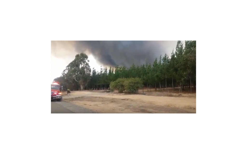 VIDEO| Nuevo foco de incendio azota a la comuna de San Javier