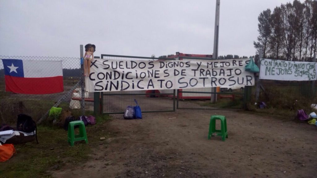 Federación Sindical Rodrigo Cisterna mantiene paro en complejo Horcones de Forestal Arauco, propiedad de los Angelini