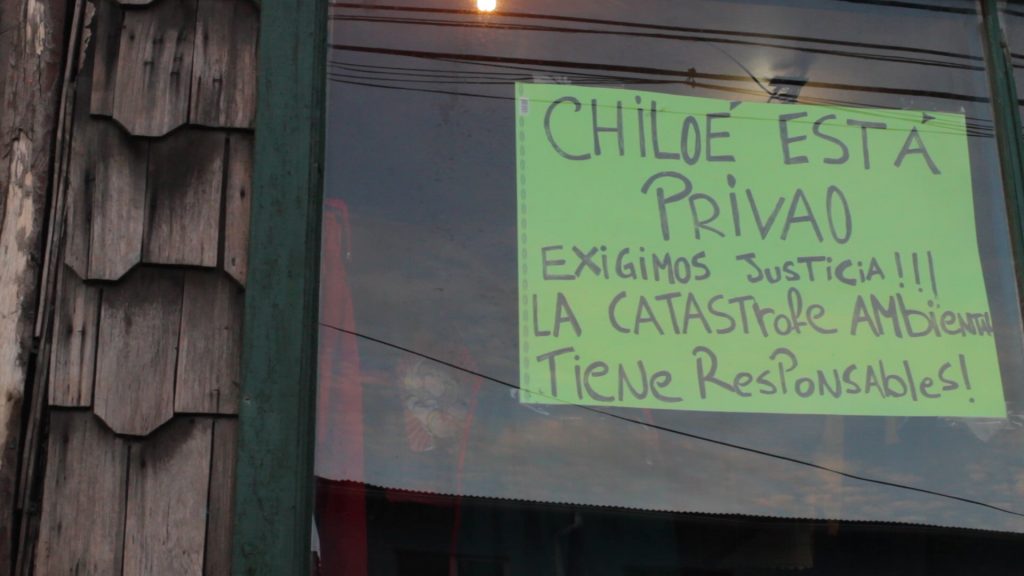 Jóvenes cineastas realizan documental sobre la marea roja en Chiloé