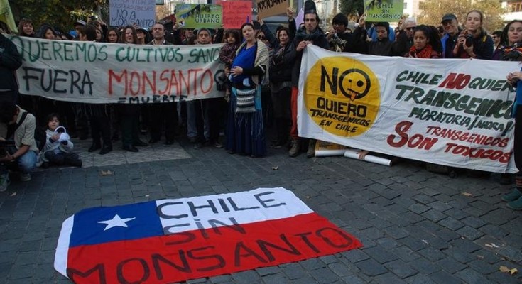 Santiago de Chile se suma a la V° marcha mundial contra Monsanto-Bayer