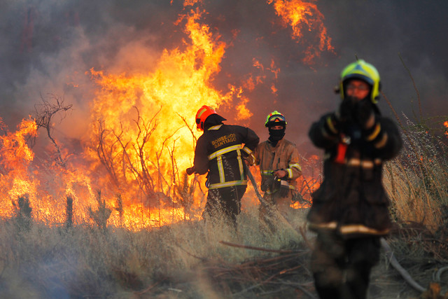 Intendencia del Biobío declara a Concepción en Alerta Roja por incendios forestales