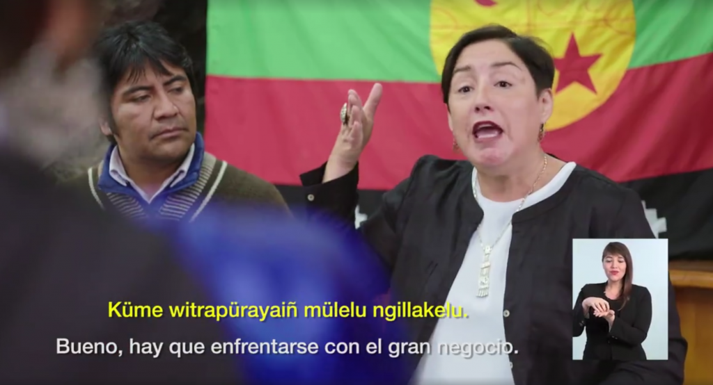 VIDEO| Beatriz Sánchez Uneltuleay: Franja dedicada al pueblo mapuche fue emitida en mapudungún