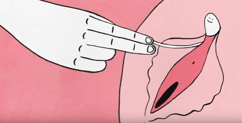 VIDEO| «Le Clitoris»: El cortometraje que rompe los tabúes y descubre el órgano del placer femenino