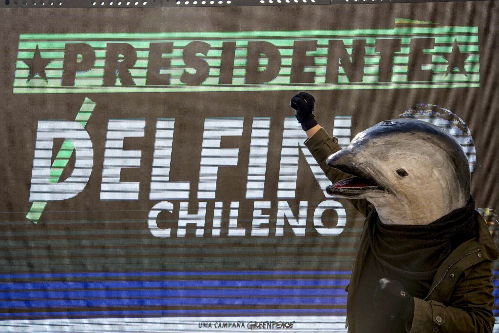 «Vota Delfín Chileno»: La curiosa campaña de Greenpeace para incluir propuestas medioambientales en campaña presidencial