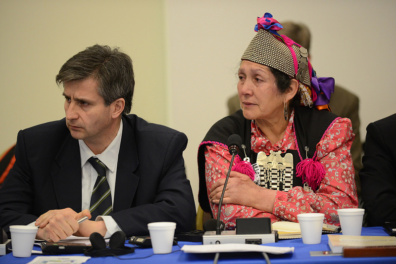 Abogado del histórico caso que ganó la machi Francisca Linconao: «Ella creía en el Estado, no todos los mapuche lo hacen»
