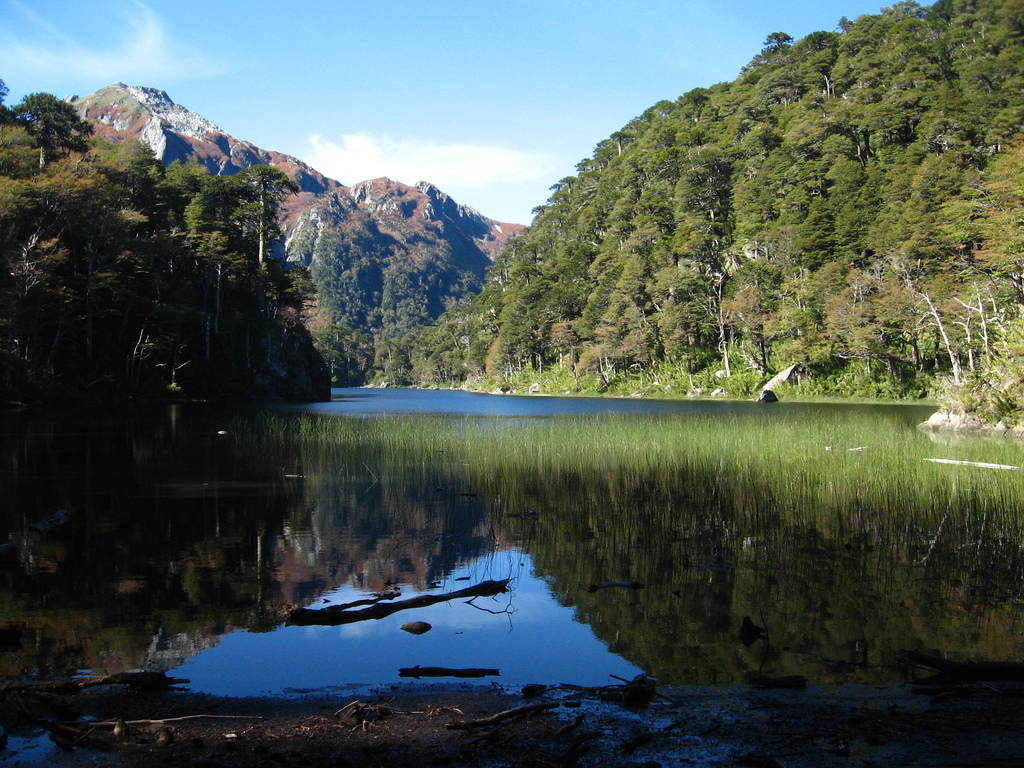 Comunidades Kawésqar denuncian que futuro Parque Nacional Alacalufes no protegerá aguas de la Patagonia