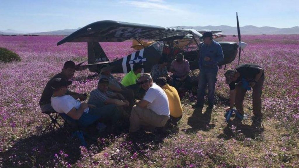 Intendenta de Atacama acusa «atentado al patrimonio» por aterrizaje de avionetas en desierto florido