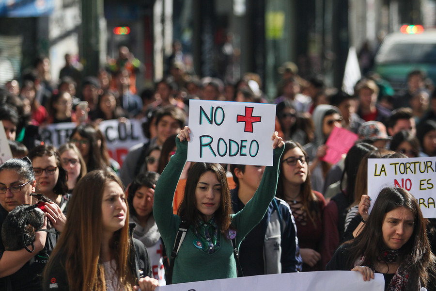 #NoEsDeporte: Este sábado se realizará marcha contra el rodeo en todo Chile