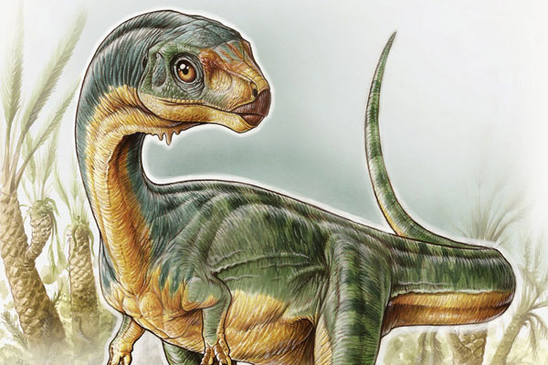El Chilesaurio llega al Museo Nacional de Historia Natural de la mano de Sernageomin