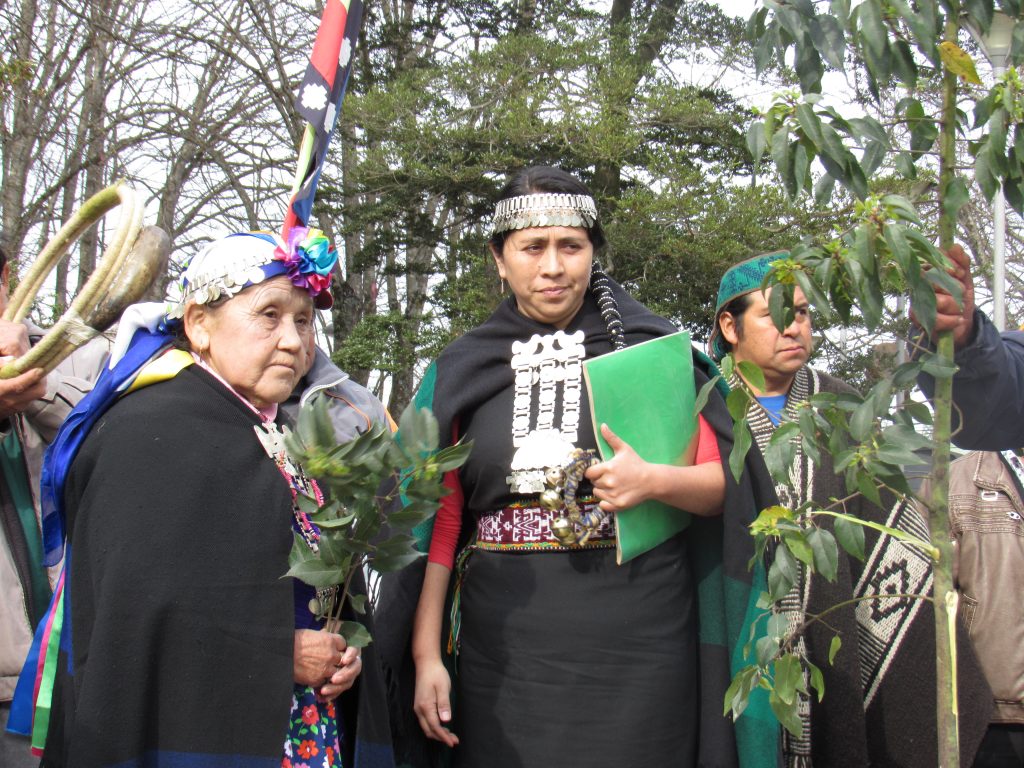 Autoridades mapuche de Nueva Imperial solicitan intervención de la ONU por Operación Huracán
