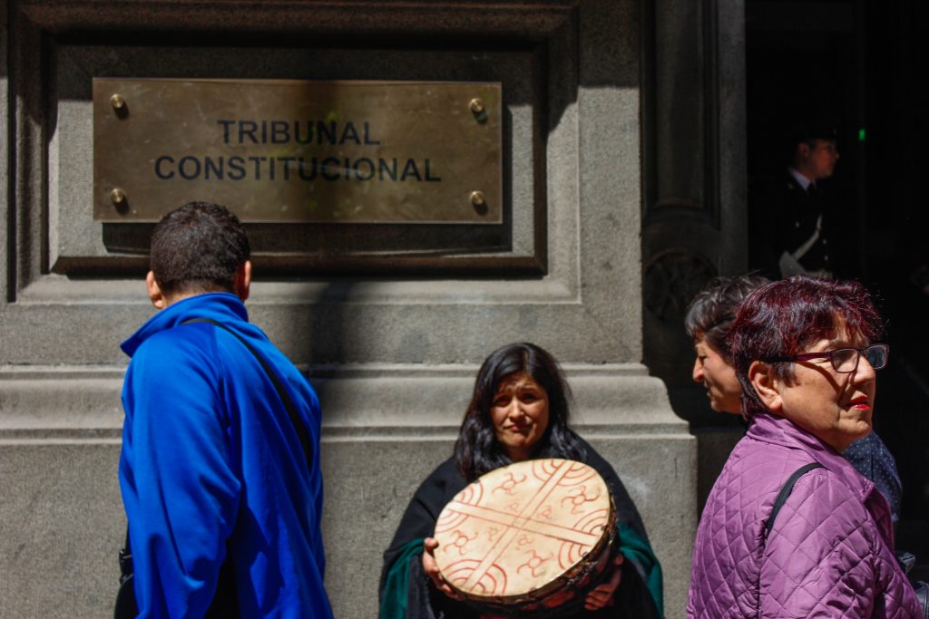 Comunidad mapuche reclama ante el Tribunal Constitucional por terrenos ocupados por Forestal Mininco