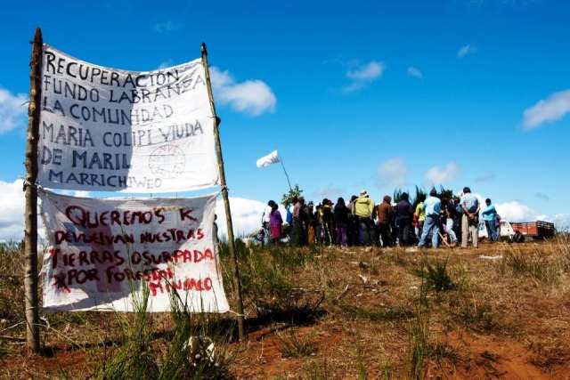 «El Desengaño»: El documental que muestra cómo la industria forestal mintió para quitarle tierras a comunidades mapuche en Tirúa
