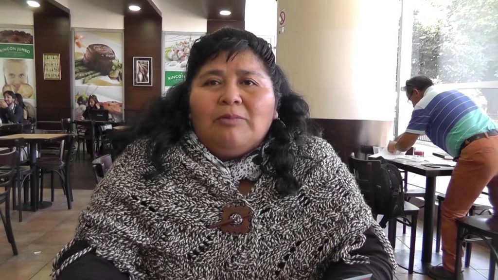 Emilia Nuyado, primera mujer huilliche en llegar al Congreso: «Voy a ser la voz y el voto de los mapuche en el Parlamento»