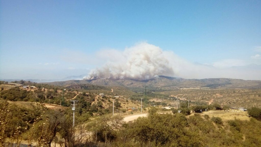 Decretan alerta roja en Limache por incendio forestal