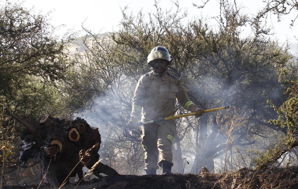 Onemi declara alerta roja por incendio forestal en Melipilla