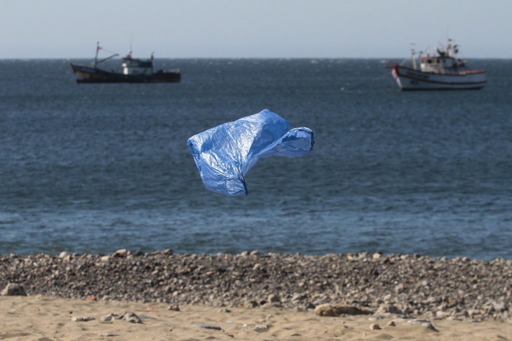 Ecologistas critican largo estancamiento de proyecto que elimina las bolsas plásticas en todo el país