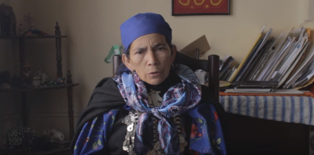 Todos y todas por la libertad de la machi Francisca y de todo el pueblo mapuche