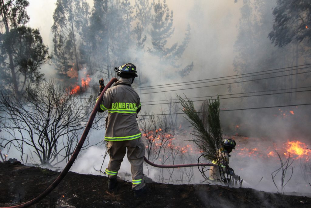 Incendio afecta a más de 1.700 hectáreas de vegetación en Ercilla