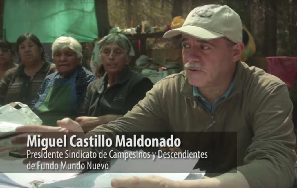 VIDEO| Campesinos inician acciones para recuperar fundo ocupado por Forestal Arauco en Curanilahue