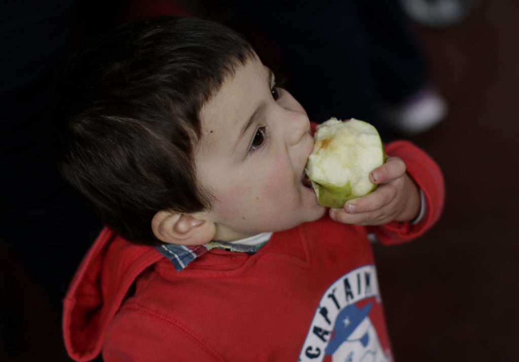 Universidad de Chile abre curso gratuito sobre salud escolar y prevención de la obesidad