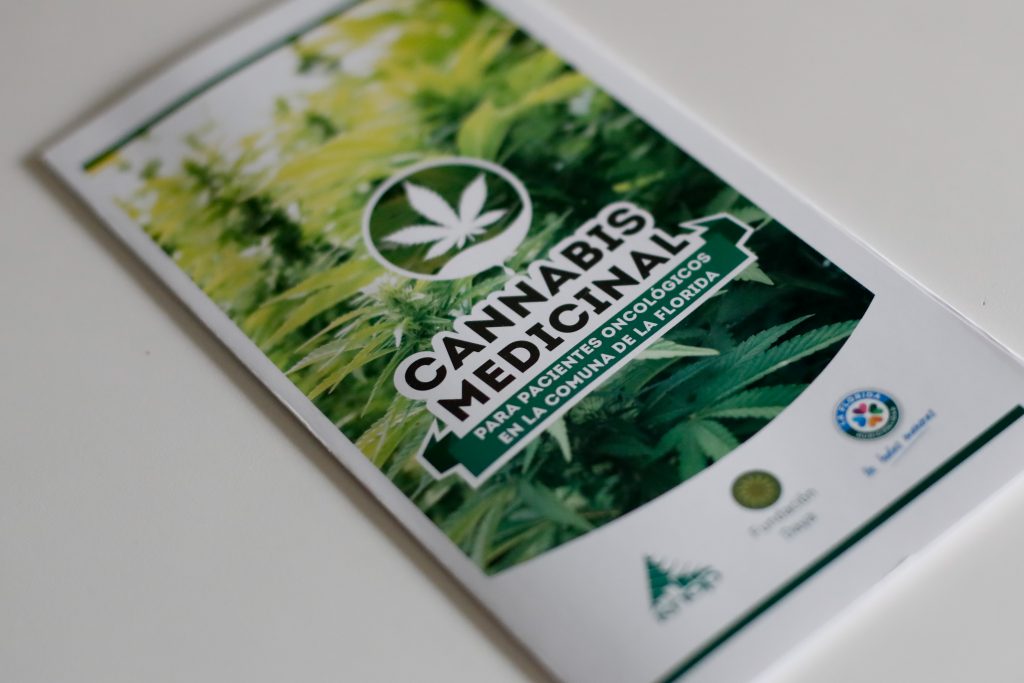 Congreso pone en tabla proyecto que autoriza el cultivo de cannabis medicinal con receta médica