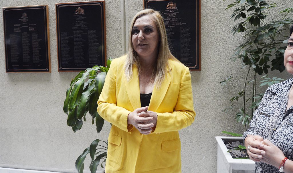 Pamela Jiles grita «todos contra Piñera» en el hemiciclo y genera polémica en su primera intervención como diputada