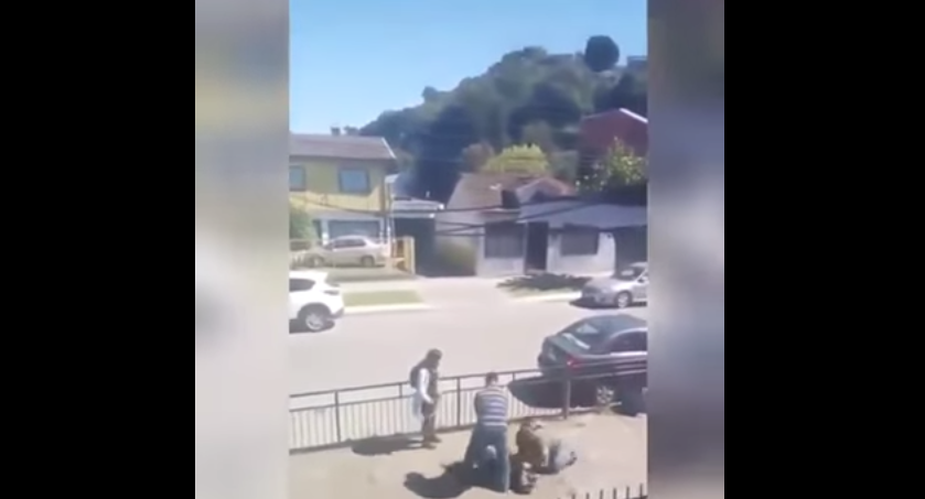 Video reveló golpiza de apoderados a escolar por supuesto bullying a su hija en Talcahuano