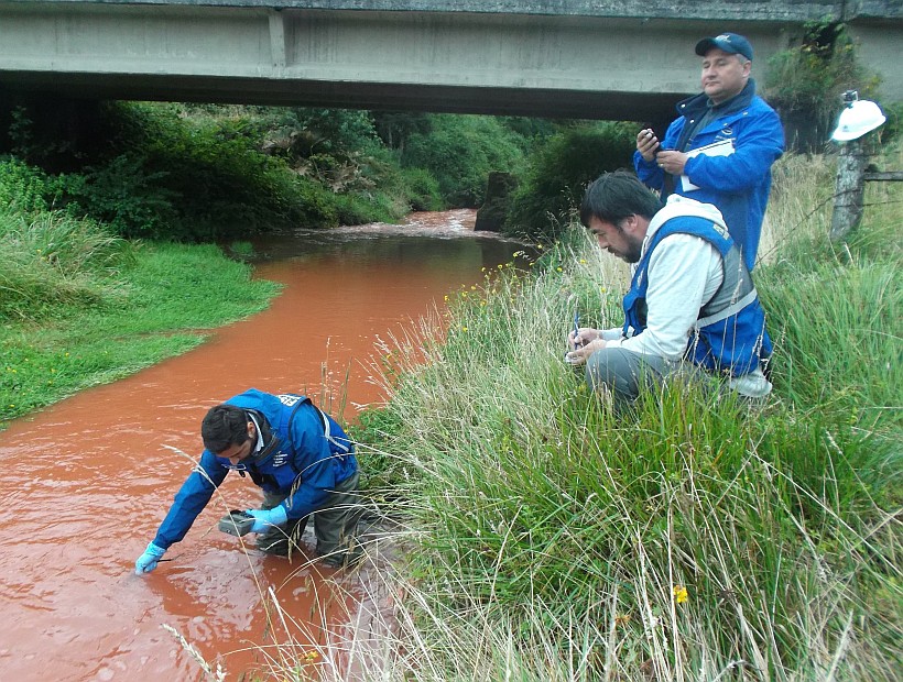 Contaminación en río Trainel: A detener la corrupción estatal y la destructiva salmo-industrialización de Chiloé