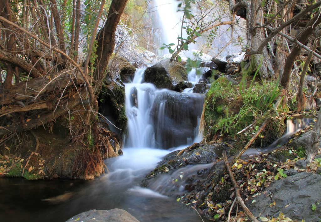 Panorama: Trekking gratuito en el Parque Natural Aguas de Ramón para celebrar el Día del Agua