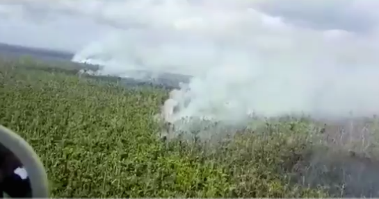 VIDEO| El incendio descontrolado que ya ha arrasado más de 5.000 hectáreas de selva tropical en Nicaragua