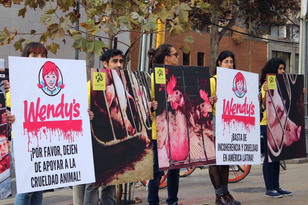 Activistas protestaron frente a multinacional Wendy’s por prácticas crueles contra los animales