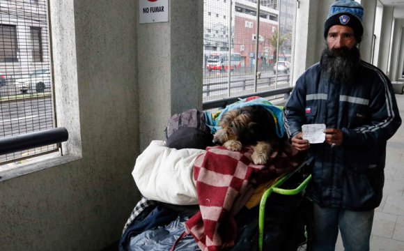 Carabineros multa a hombre en situación de calle que vive con su perro por hacer «camping sin permiso»