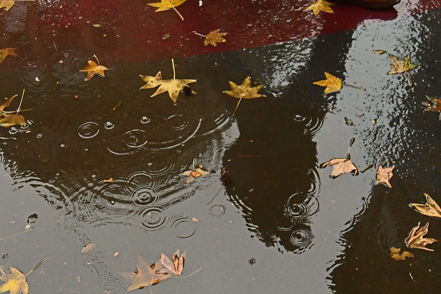 Proyecciones hidroclimáticas: 10 razones que explican las lluvias a lo largo de Chile