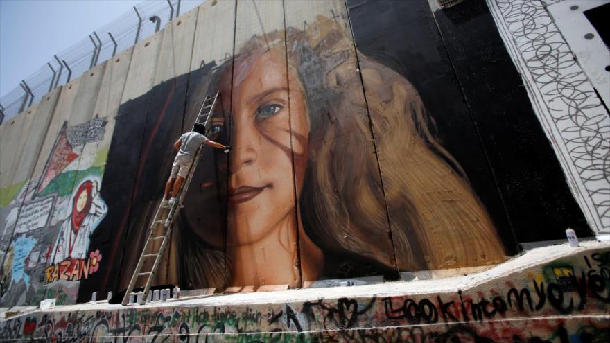 Artista italiano pinta rostro de joven palestina Ahed Tamimi en el muro del apartheid israelí