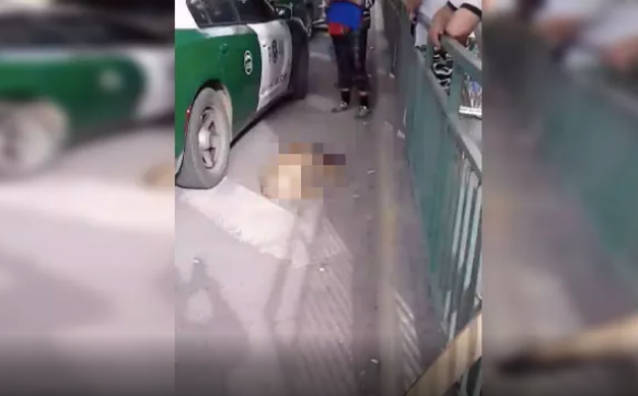 Indignante: Denuncian que carabinero asesinó a un perro en medio de un procedimiento policial en Quilicura