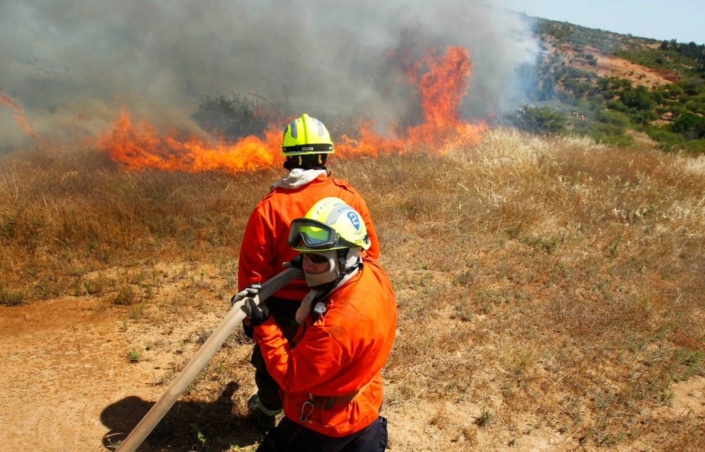 Declaran alerta roja en Pirque por incendio forestal