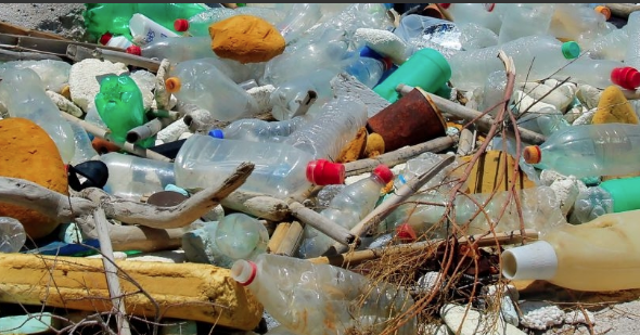 Estudio muestra que una decena de plásticos ya han llegado al intestino humano