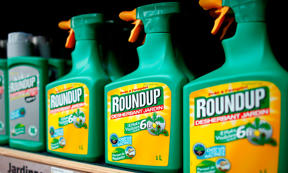 Tras fallo histórico contra Monsanto por potencial cancerígeno de herbicida: Acciones de Bayer se desploman en la bolsa alemana