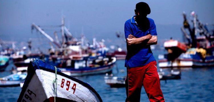 Pescadores artesanales de Coronel: «Los industriales tienen el monopolio de la sardina y anchoveta»