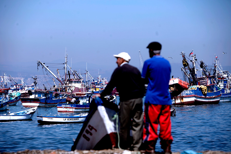 Pescadores denuncian que intentan limitar flota artesanal del norte aplicando RAE al recurso anchoveta