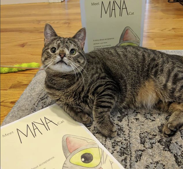 Tierno libro sobre gatita con «Síndrome de Down» enseña a niños a aceptar y querer a quienes son diferentes