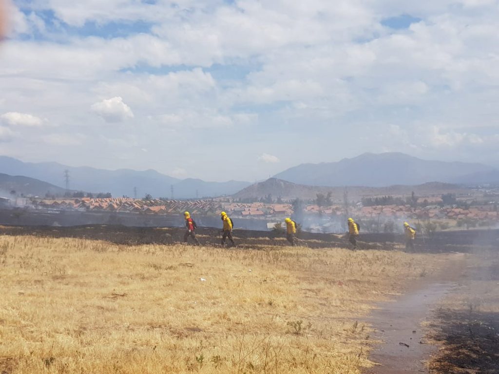 Declaran Alerta Roja por incendio forestal en Puente Alto