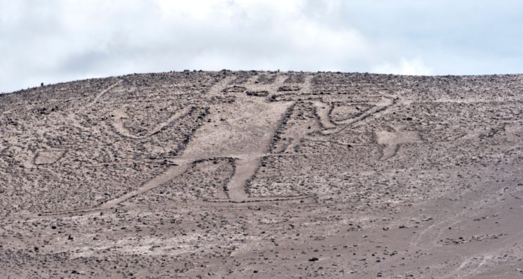 «Ocurre a nivel macro con el Rally Dakar»: Expertas analizan los daños al «Gigante de Tarapacá»