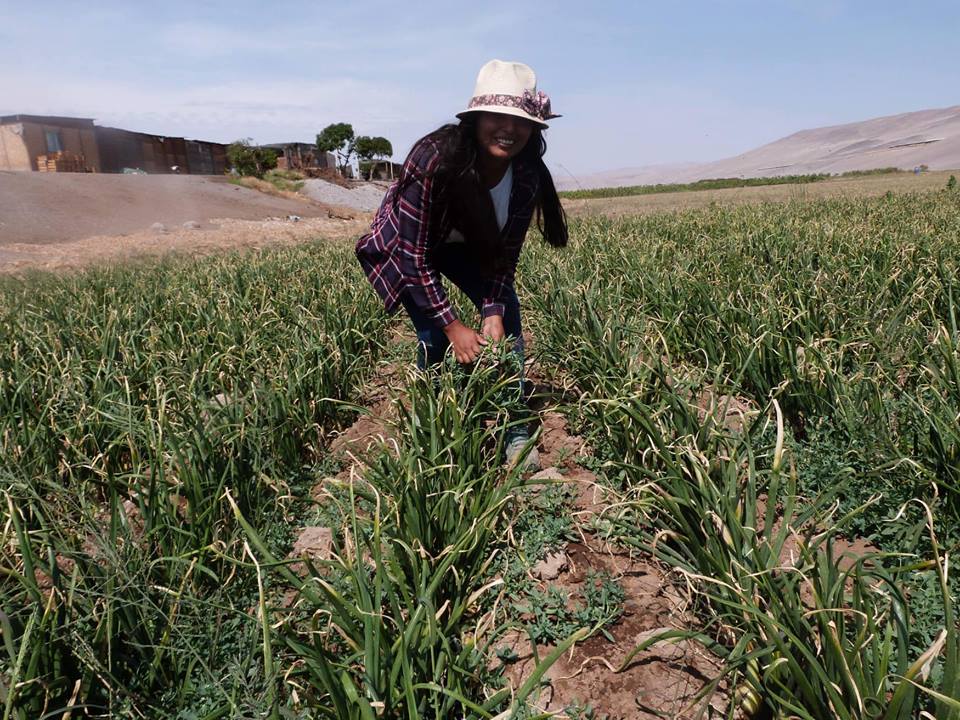 Izzamar Cayo, dirigenta rural de Arica: “Estar en contacto con la tierra es algo que no tiene precio”