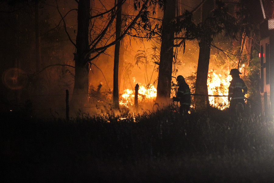Descontrol de incendios forestales: Decretan toque de queda en las comunas de la provincia de Concepción