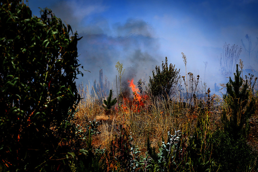 Colinas y comunidades en llamas en el Wallmapu por las incendios forestales