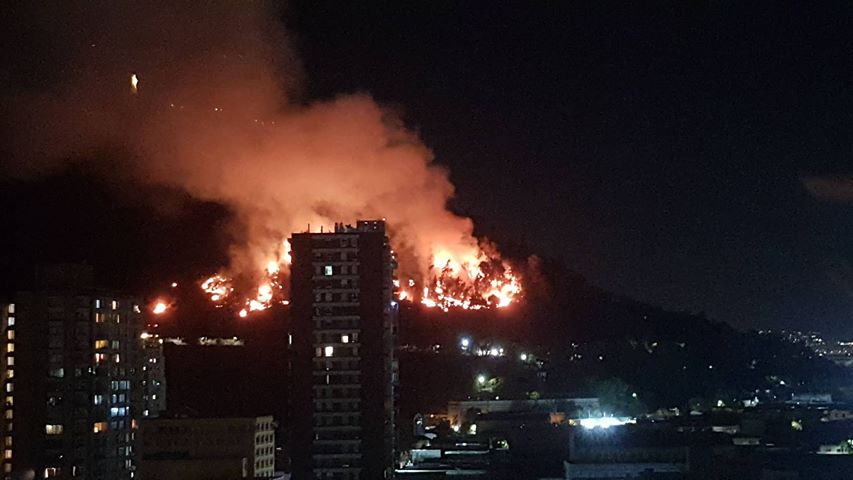 San Cristóbal en llamas: Incendio afecta ladera del cerro a escasos metros del zoológico metropolitano