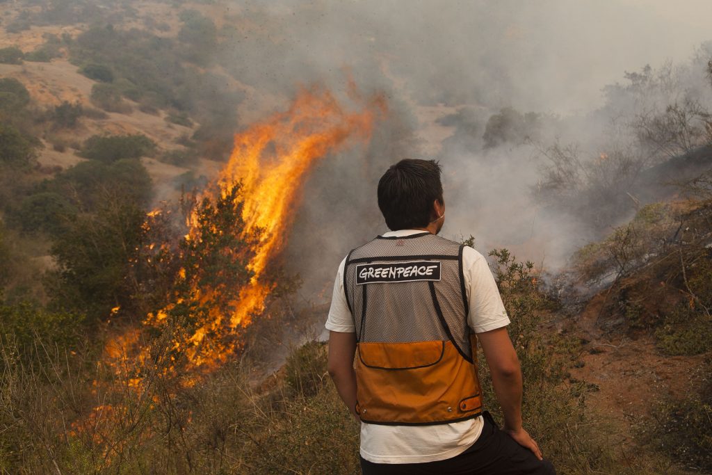 Greenpeace e incendios en Aysén: “El cambio climático actuará como nuevo combustible para la propagación de incendios en la Patagonia”