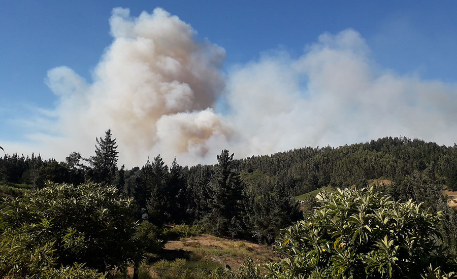 Alcalde de Cochrane apunta a las forestales por propagación de incendios: «Exigimos un plan de manejo de las plantaciones»
