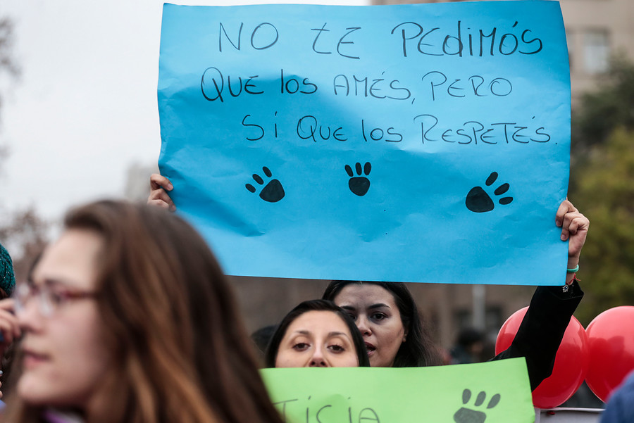 Nuevo caso de maltrato animal: Hombre estrangula hasta la muerte a su perro en La Cisterna